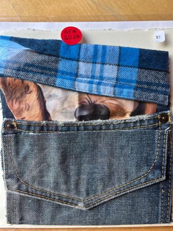 Untitled — cat cards 2-26