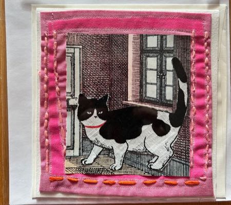 Untitled — cat cards 2-26