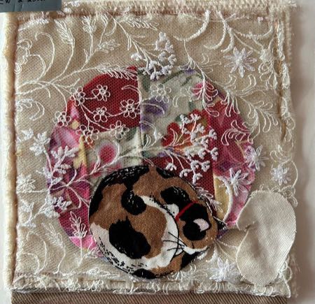 Untitled — cat cards 2-26